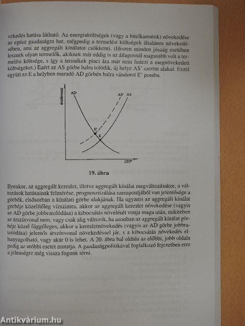Közgazdaságtani bevezetés