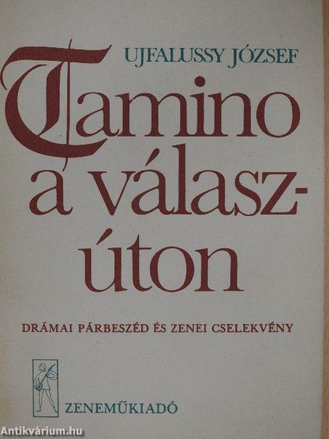 Tamino a válaszúton