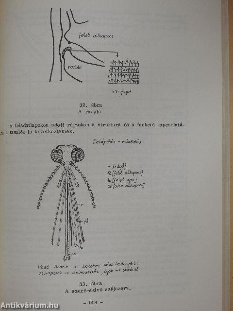 A biológia tanítása I.