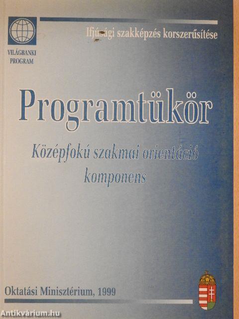 Programtükör