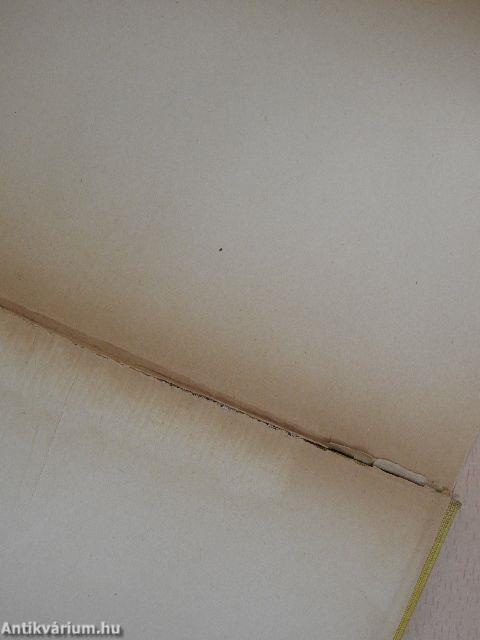 Versenyt az esztendőkkel!