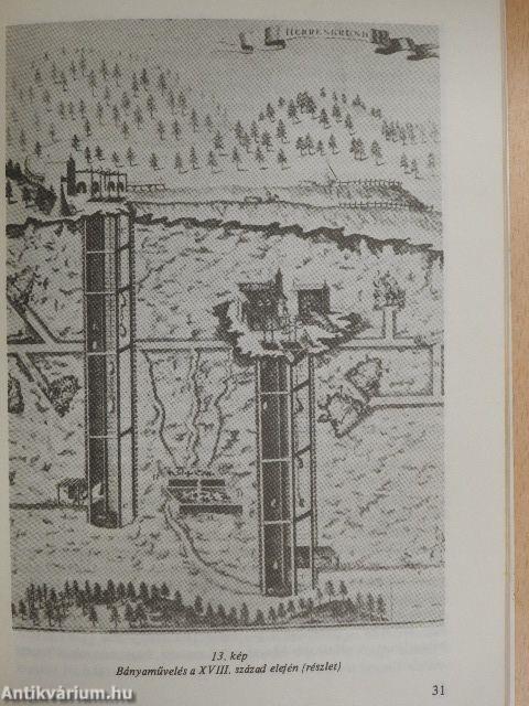 A "Hungaria Nova" megrajzolója Mikoviny Sámuel