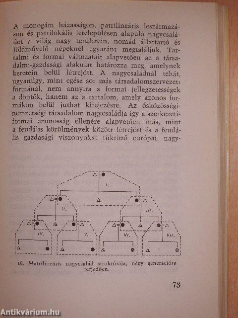 Társadalmak születése