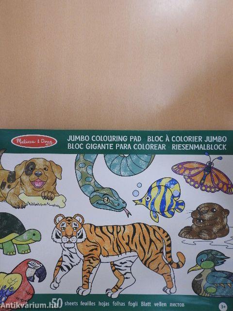 Jumbo Colouring Pad