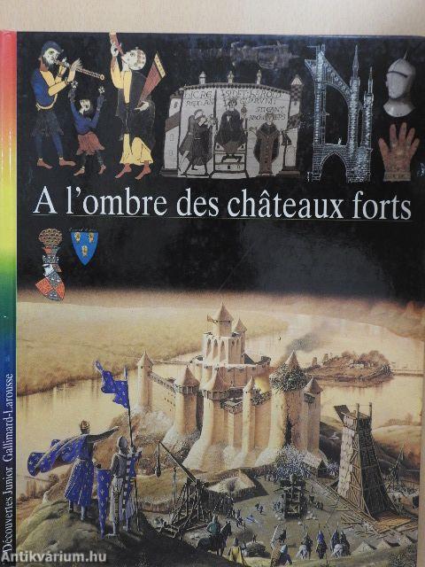 A l'ombre des chateaux forts