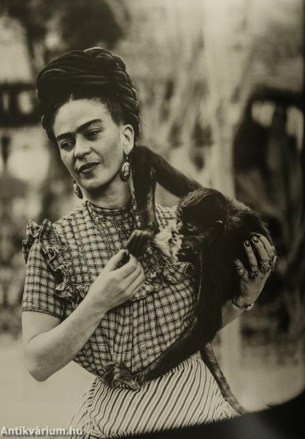Frida Kahlo (védődobozos példány)