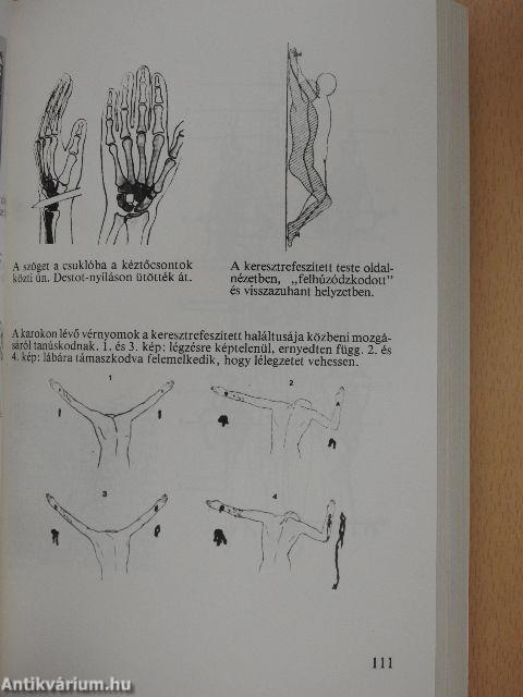 A torinói halotti lepel és korának meghatározása