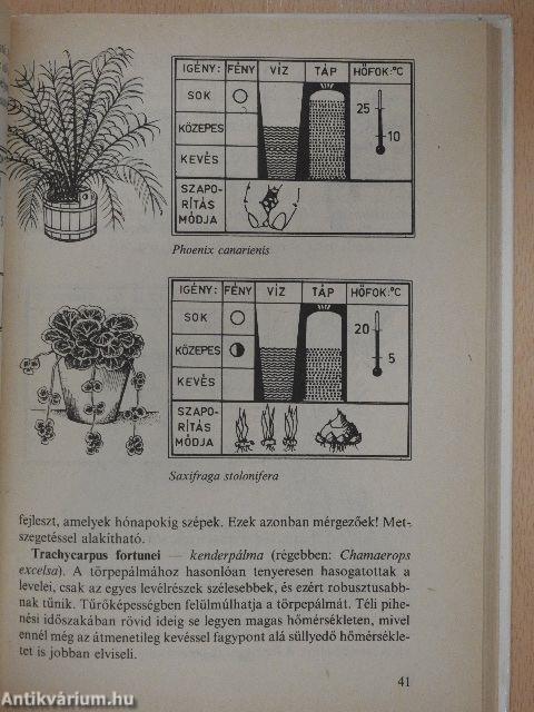 Válaszok szobanövény-kedvelők kérdéseire