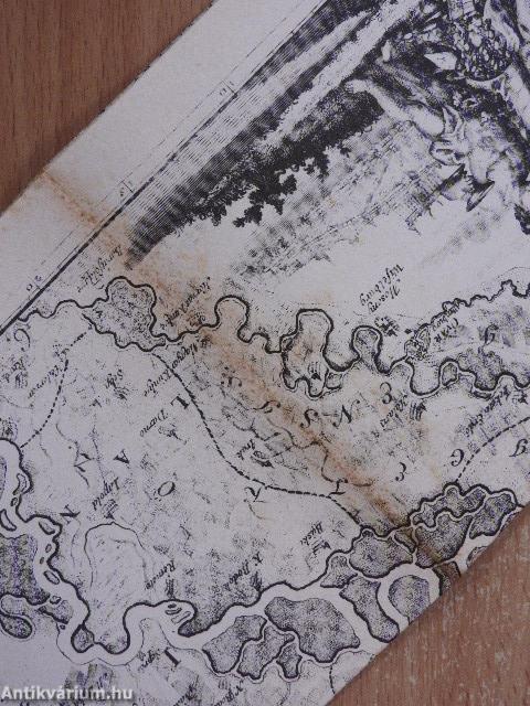 A "Hungaria Nova" megrajzolója Mikoviny Sámuel