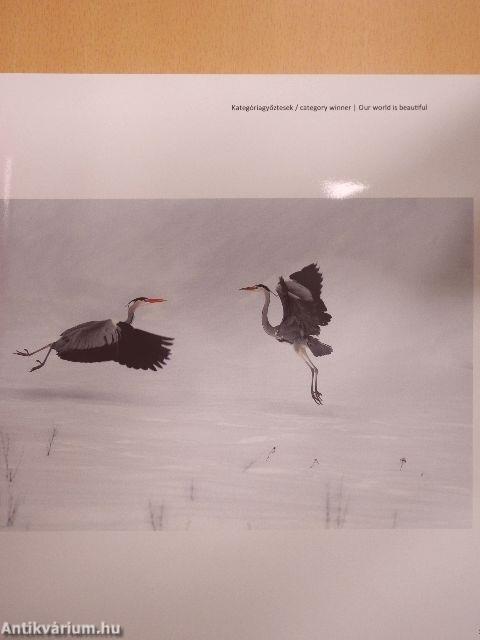 Our world is beautiful 