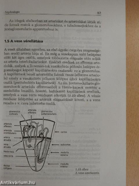 Nephrologia