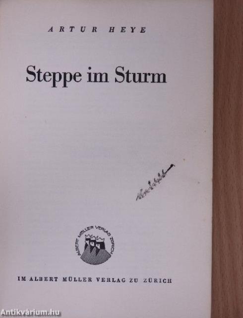 Steppe im Sturm