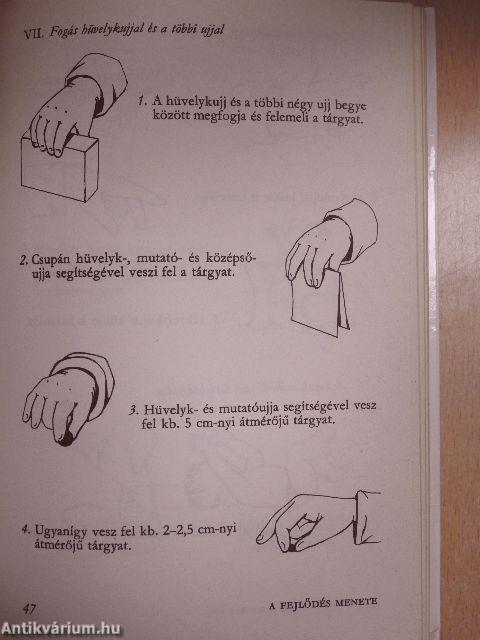 Tanítsuk a kisbabát!