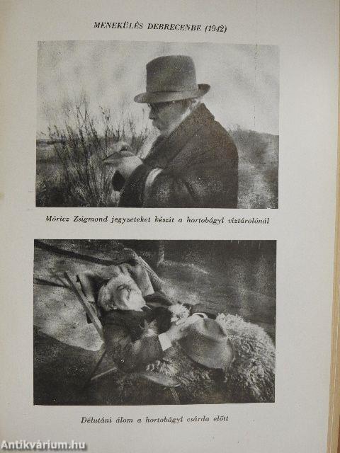 Móricz Zsigmond