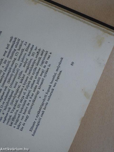 A tökéletes házasság