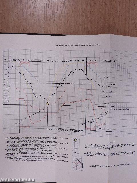 A tökéletes házasság