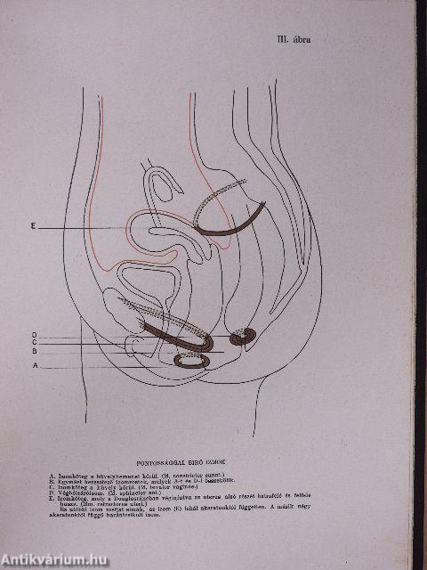 A tökéletes házasság