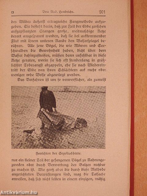 Bibliothek der Unterhaltung und des Wissens 1912/10. (gótbetűs)