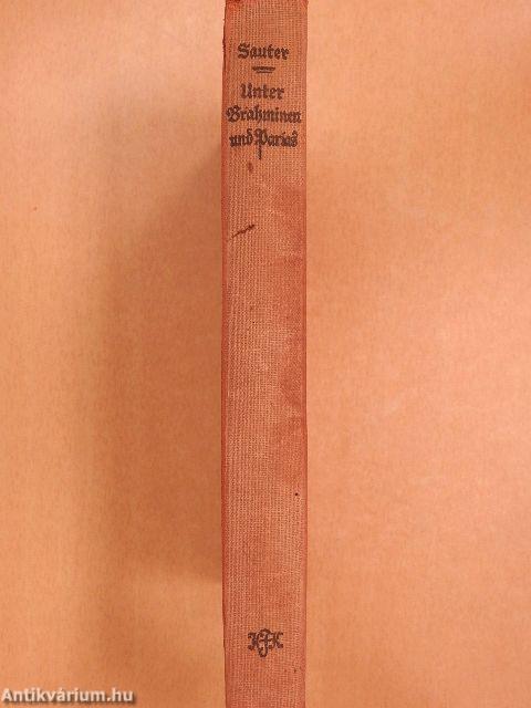 Unter Brahminen und Parias (gótbetűs)