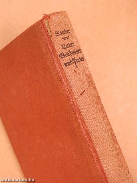 Unter Brahminen und Parias (gótbetűs)