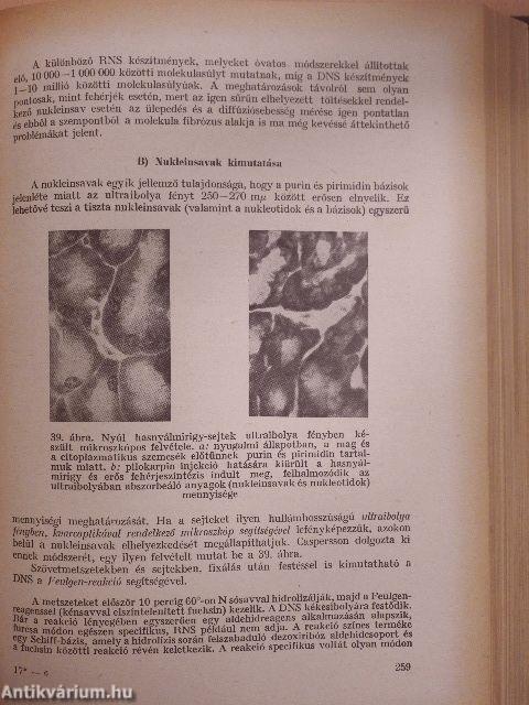 Biokémia
