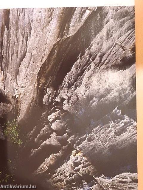 National Geographic Magyarország 2007. április