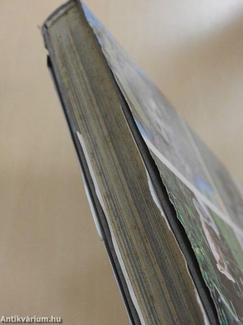 Az állatok nagy képeskönyve