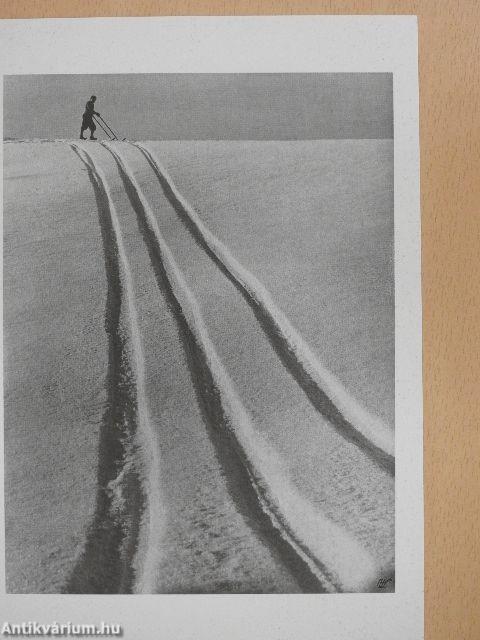 Fotografia polska 1900-1939