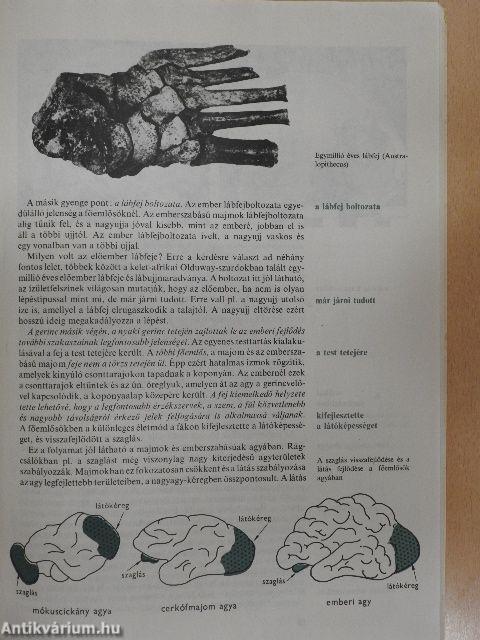 A változó világ III.