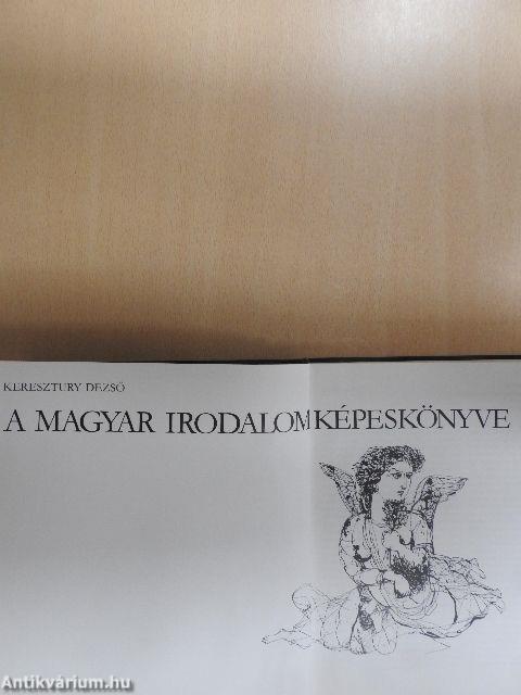 A magyar irodalom képeskönyve