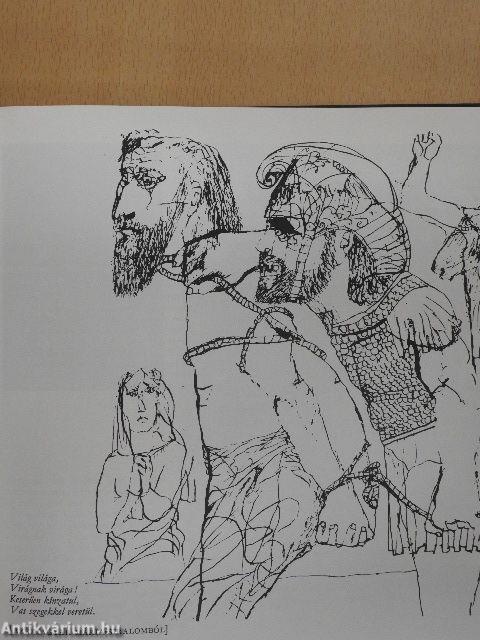 A magyar irodalom képeskönyve