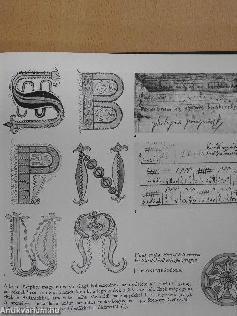 A magyar irodalom képeskönyve