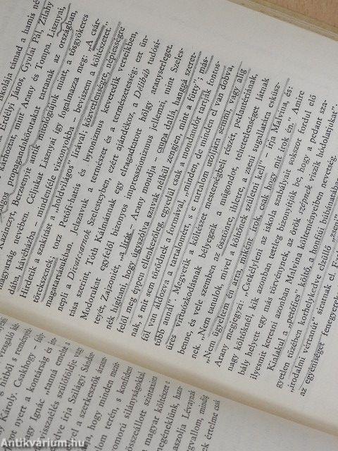 Petőfi és Ady között