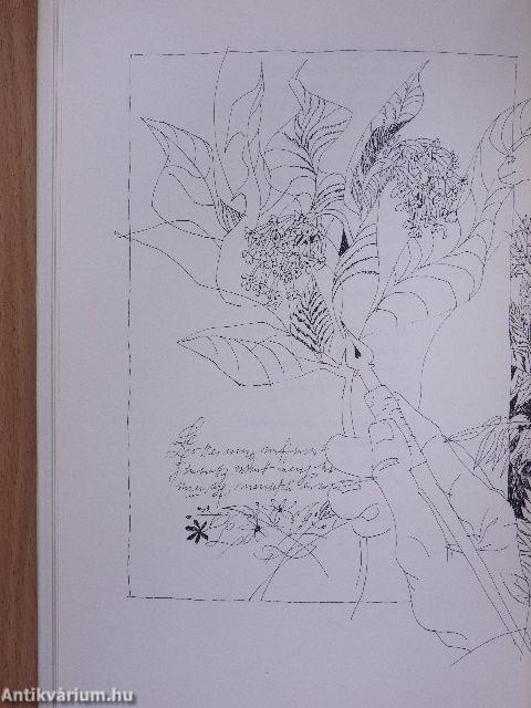 A kedves közelléte