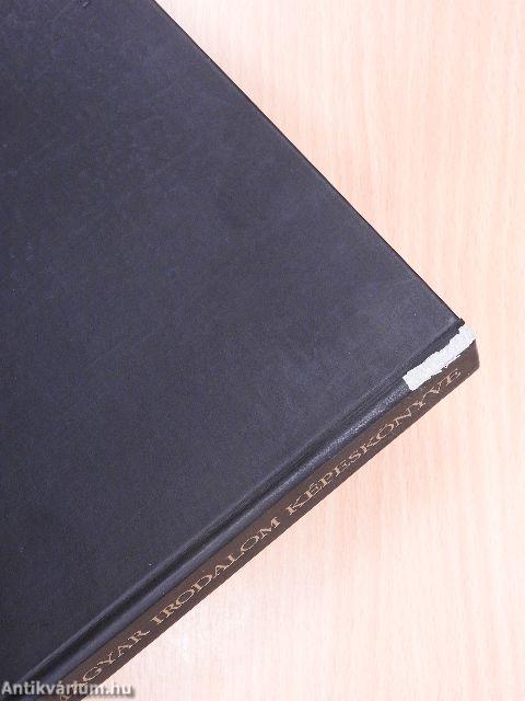 A magyar irodalom képeskönyve