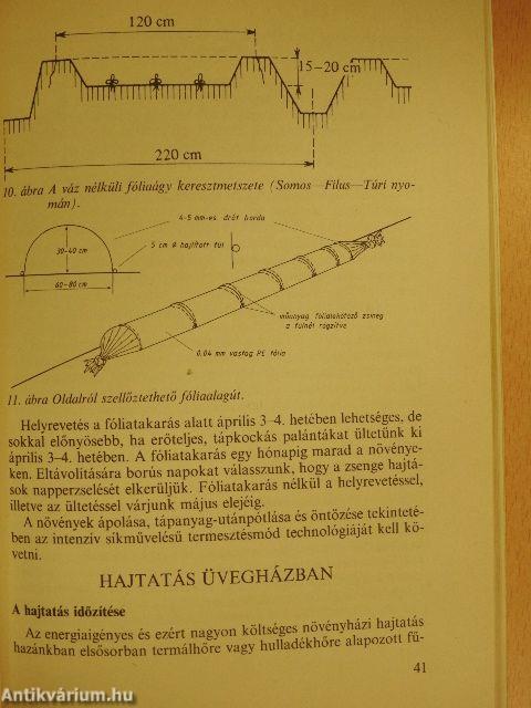 Az uborka termesztése