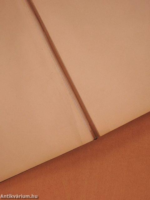 Andrees Neuer Allgemeiner und Österreichisch-Ungarischer Handatlas