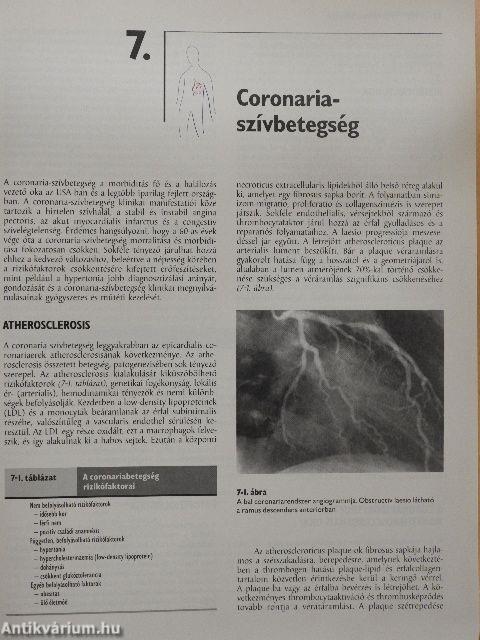 Cecil - A belgyógyászat lényege