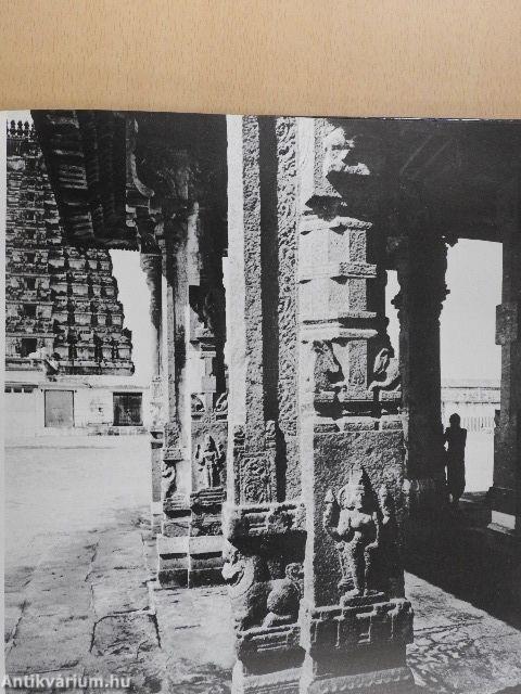 Az építészet nyelve