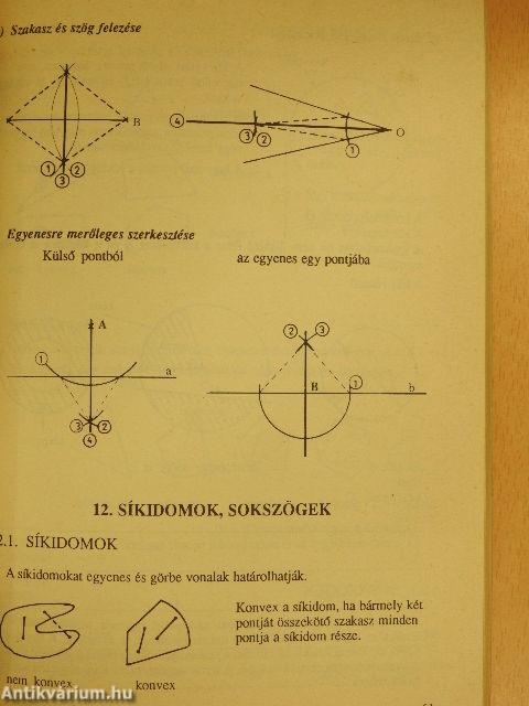 Természettudományi összefoglaló