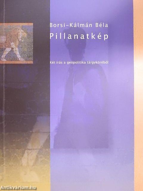 Pillanatkép