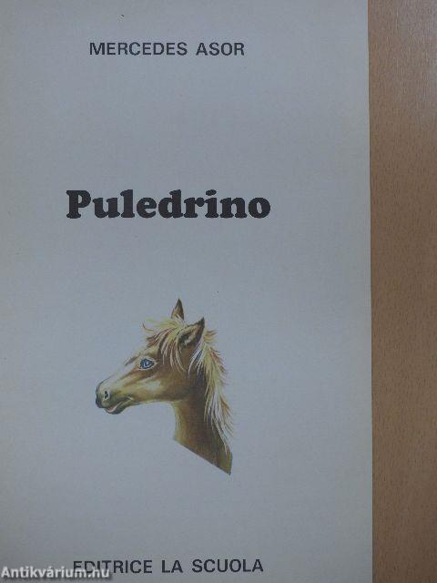 Puledrino