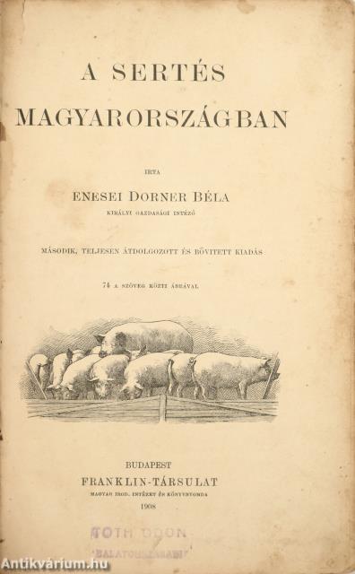 A sertés Magyarországban