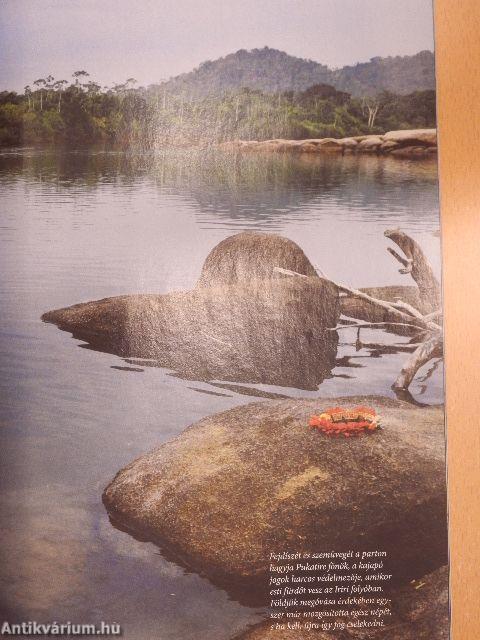 National Geographic Magyarország 2014. (nem teljes évfolyam)