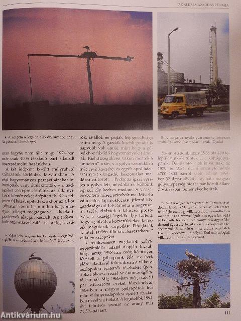 Szülőföldünk szép határa