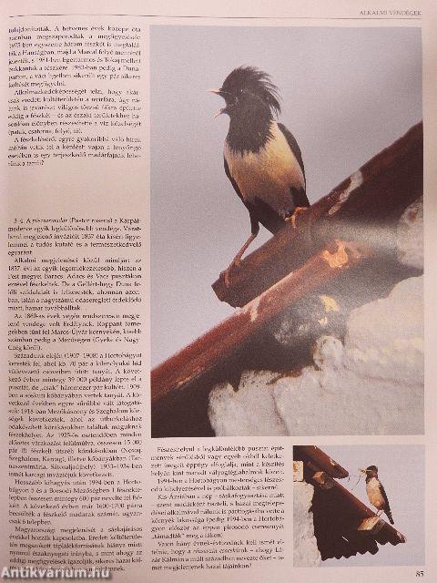 Szülőföldünk szép határa