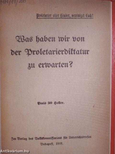 Was haben wir von der Proletarierdiktatur zu erwarten? (gótbetűs)