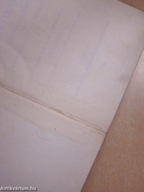 Protokoll des II. Kongresses der Ungarländischen Fach- und Bildungs-Vereine