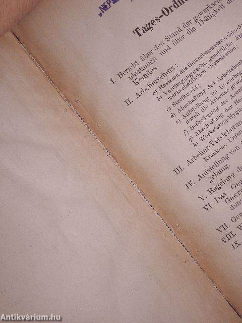 Protokoll des II. Kongresses der Ungarländischen Fach- und Bildungs-Vereine