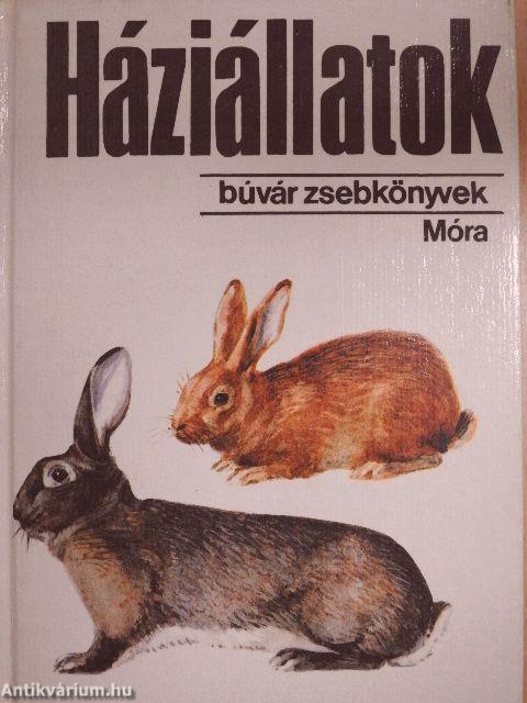 Háziállatok